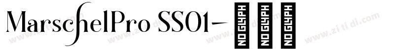 MarschelPro SS01字体转换